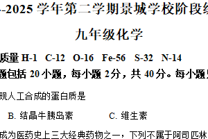 2025年江苏省苏州市景城学校九年级化学二模试卷（含解析）