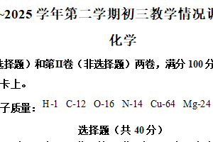 2025年江苏省苏州市立达中学中考二模化学试卷（含解析）