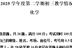 2025年江苏省苏州市立达中学中考一模化学试题（含解析）