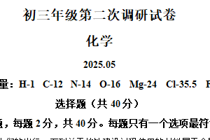 2025年江苏省苏州市区部分学校中考第二次模拟考试化学试题（含解析）
