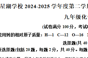 2025年江苏省苏州市苏州工业园区星湖学校中考二模检测化学卷（含解析）