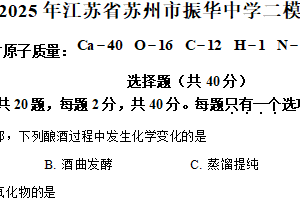 2025年江苏省苏州市振华中学二模化学试卷（含解析）