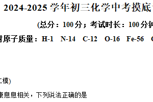 2025年江苏省苏州市中考化学摸底调研卷二（含解析）