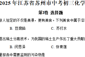 2025年江苏省苏州市中考模拟化学猜想卷（含解析）