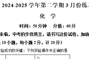 2025年江苏省宿迁市泗阳县致远中学中考一模化学试题（含解析）