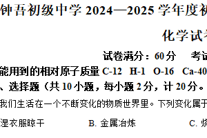 2025年江苏省宿迁市钟吾初级中学一模化学试题（含解析）