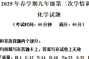 2025年江苏省泰州市姜堰区中考二模化学试题（含解析）