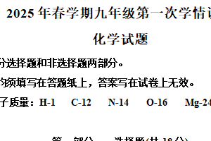2025年江苏省泰州市姜堰区中考一模化学试题（含解析）