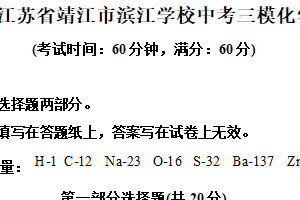 2025年江苏省泰州市靖江市滨江学校中考三模化学试题（含解析）