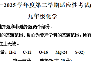 2025年江苏省泰州市靖江市中考一模化学试题（含解析）