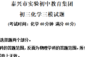 2025年江苏省泰州市泰兴市实验初级中学三模化学试题（含解析）