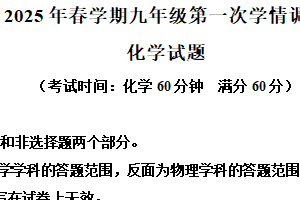 2025年江苏省泰州市泰兴市中考一模化学试题（含解析）