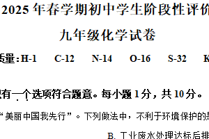 2025年江苏省泰州市兴化市中考一模化学试题（含解析）