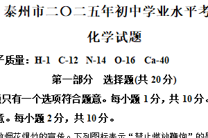 2025年江苏省泰州市中考化学真题（含解析）