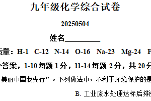2025年江苏省泰州中学附属初级中学九年级下学期化学综合试卷（含解析）