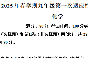 2025年江苏省无锡市经开区九年级第一次适应性练习化学试题（含解析）