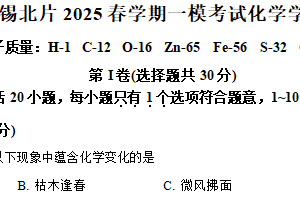 2025年江苏省无锡市锡北片区中考一模考试化学试卷（含解析）