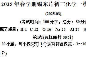 2025年江苏省无锡市锡东片区中考一模化学试题（含解析）