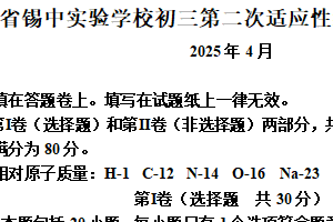 2025年江苏省无锡市锡山高级中学实验学校中考二模化学试卷（含解析）
