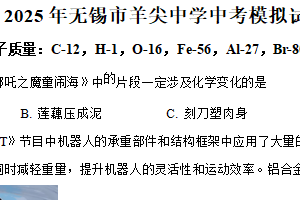 2025年江苏省无锡市羊尖中学中考二模化学试题（含解析）