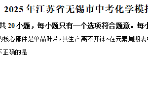 2025年江苏省无锡市中考模拟化学试题（含解析）