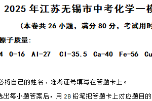 2025年江苏省无锡市中考一模练习化学试卷（含答案）