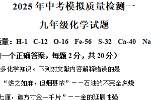 2025年江苏省徐州市沛县五中集团联盟学区中考一模化学试题（含解析）