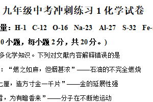 2025年江苏省徐州市沛县五中联盟学区中考模拟预测化学试题（含解析）