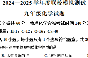 2025年江苏省徐州市沛县中考二模化学试题（含解析）