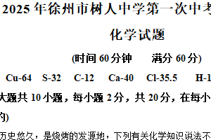 2025年江苏省徐州市树人中学第一次中考模拟测试化学试题（含解析）