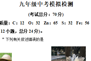 2025年江苏省徐州市中考模拟检测化学试卷（含解析）