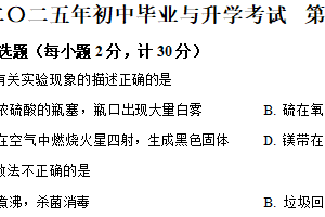 2025年江苏省盐城市大丰区部分校中考第一次检测化学试题（含解析）