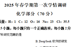 2025年江苏省盐城市大丰区中考一模化学试题（含解析）