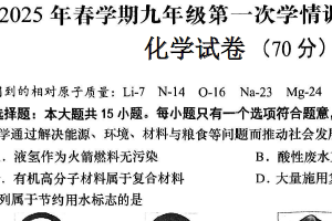 2025年江苏省盐城市东台市中考一模化学试题（含答案）