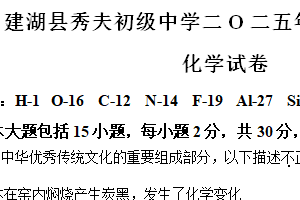 2025年江苏省盐城市建湖县秀夫初级中学中考四模化学试卷（含解析）