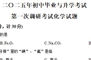 2025年江苏省盐城市经济技术开发区中考一模化学试题（含解析）