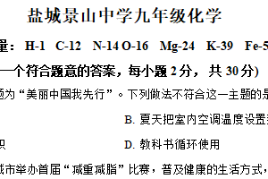 2025年江苏省盐城市景山中学中考模拟考试化学试卷（含解析）
