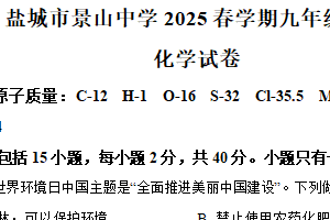 2025年江苏省盐城市景山中学中考三模化学试题（含解析）