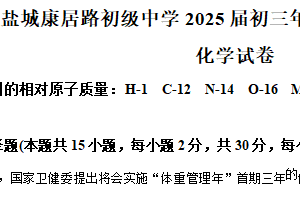 2025年江苏省盐城市康居路初级中学中考第三次模拟考试化学试卷（含解析）