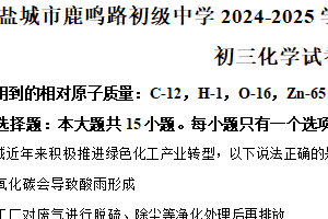 2025年江苏省盐城市两校联考（盐城市鹿鸣路初级中学、射阳实验初级中学等）中考一模综合Ⅰ物理.化学合卷-初中化学（含解析）