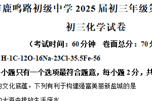2025年江苏省盐城市鹿鸣路初级中学中考三模化学试卷（含解析）
