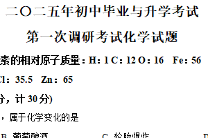 2025年江苏省盐城市射阳县一模化学试题（含解析）