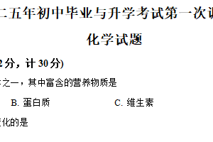 2025年江苏省盐城市亭湖区部分校中考第一次检测化学试题（含解析）