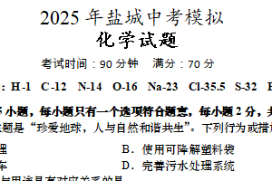 2025年江苏省盐城市亭湖区中考三模化学试题（含答案）