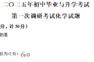 2025年江苏省盐城市盐都区部分校中考一模化学试题（含解析）