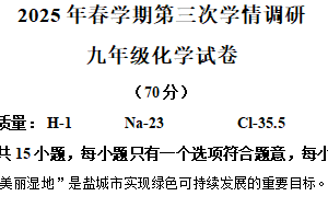 2025年江苏省盐城市盐都区中考三模化学试卷（含解析）