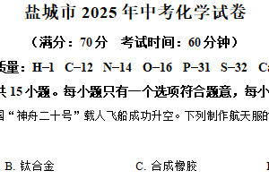 2025年江苏省盐城市中考化学真题（含解析）