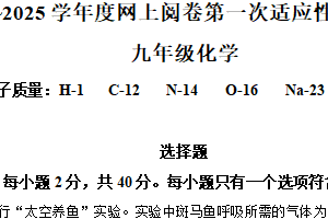 2025年江苏省扬州市高邮市中考一模化学试题（含解析）