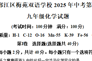 2025年江苏省扬州市邗江区梅苑双语学校中考二模化学试题（含解析）