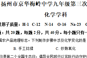 2025年江苏省扬州市梅岭集团中考三模化学试题（含解析）